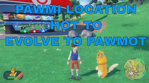 where to find pawmot.